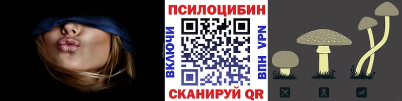 shop официальный сайт  Хасавюрт  Псилоцибиновые грибы прущие грибы  купить  